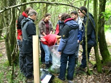 Dormouse training session